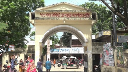 কুষ্টিয়ায় চাচাতো ভাইয়ের হাতে ভাই খু’ন